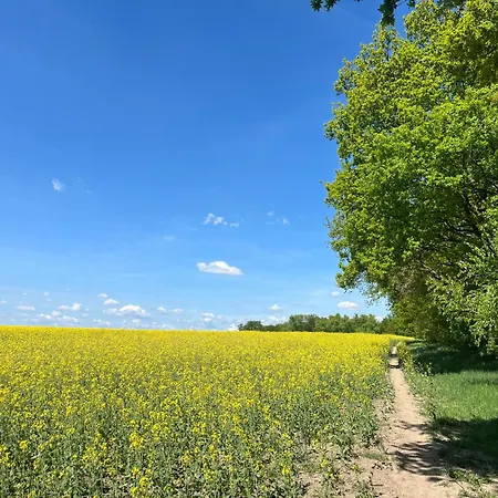 Besondere Am Rande Der Hauptstadt