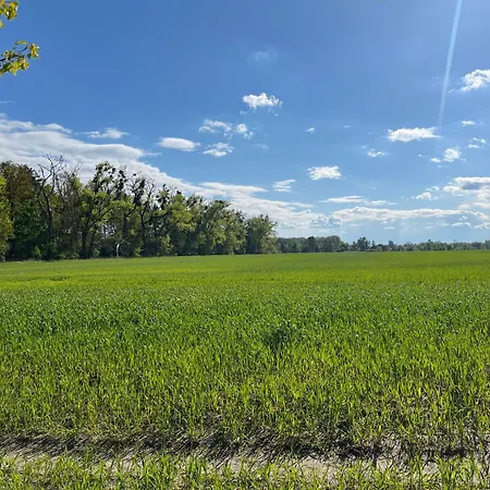 Apartment Besondere Am Rande Der Hauptstadt