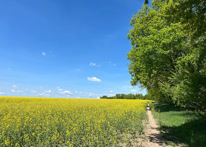 Besondere Am Rande Der Hauptstadt
