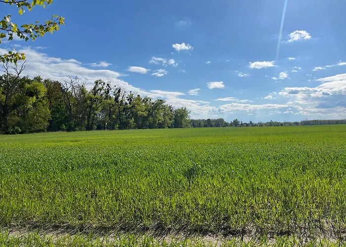 Apartment Besondere Am Rande Der Hauptstadt